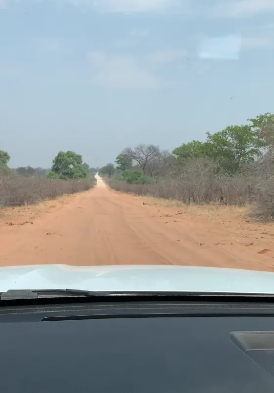 Namibia Nationalparks - Buffalo Straße