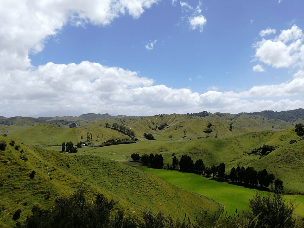 Entlang des Forgotten World Highway